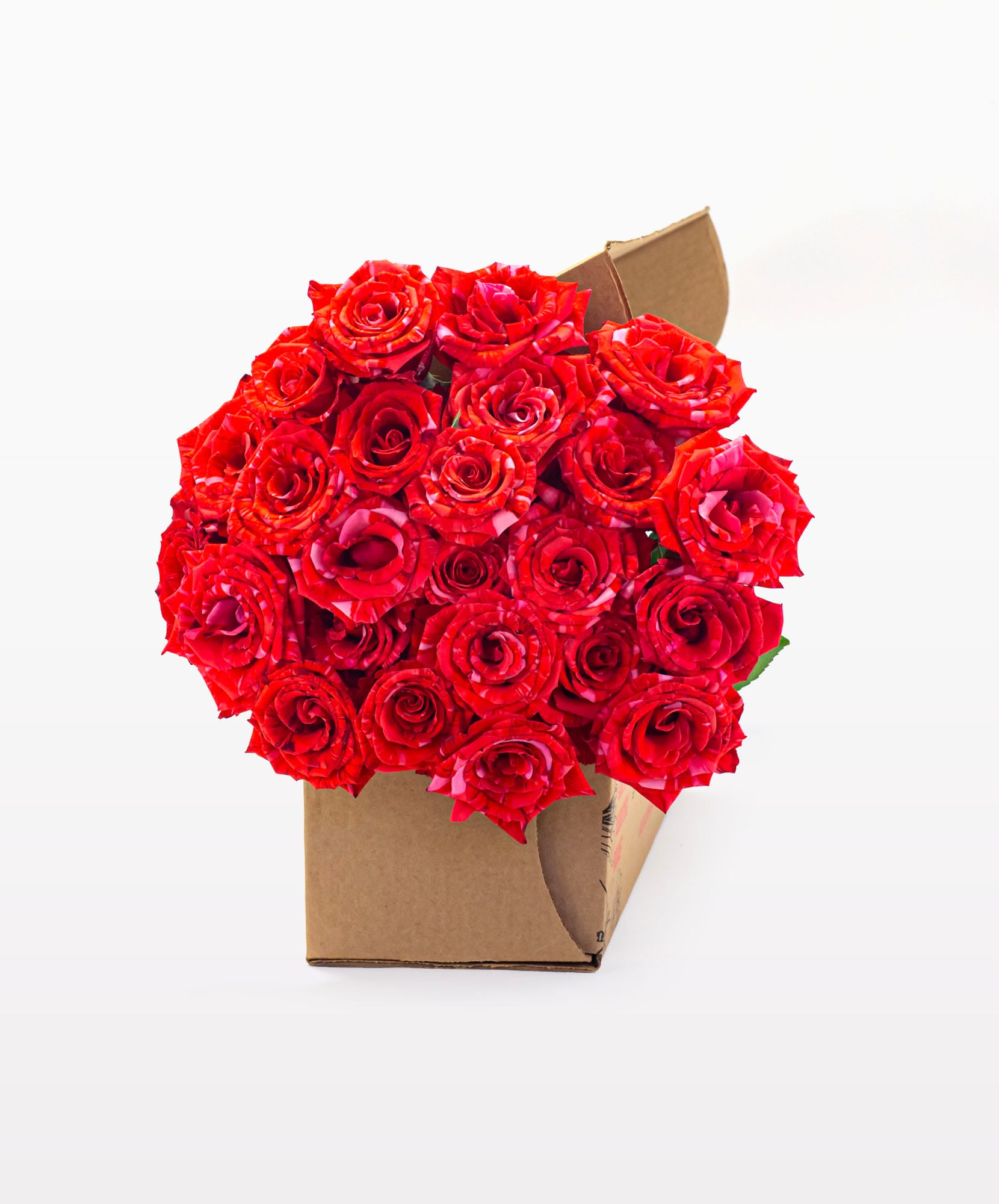 Vibrant red roses in a charming cardboard box, ideal for heartfelt gifting and celebrations.