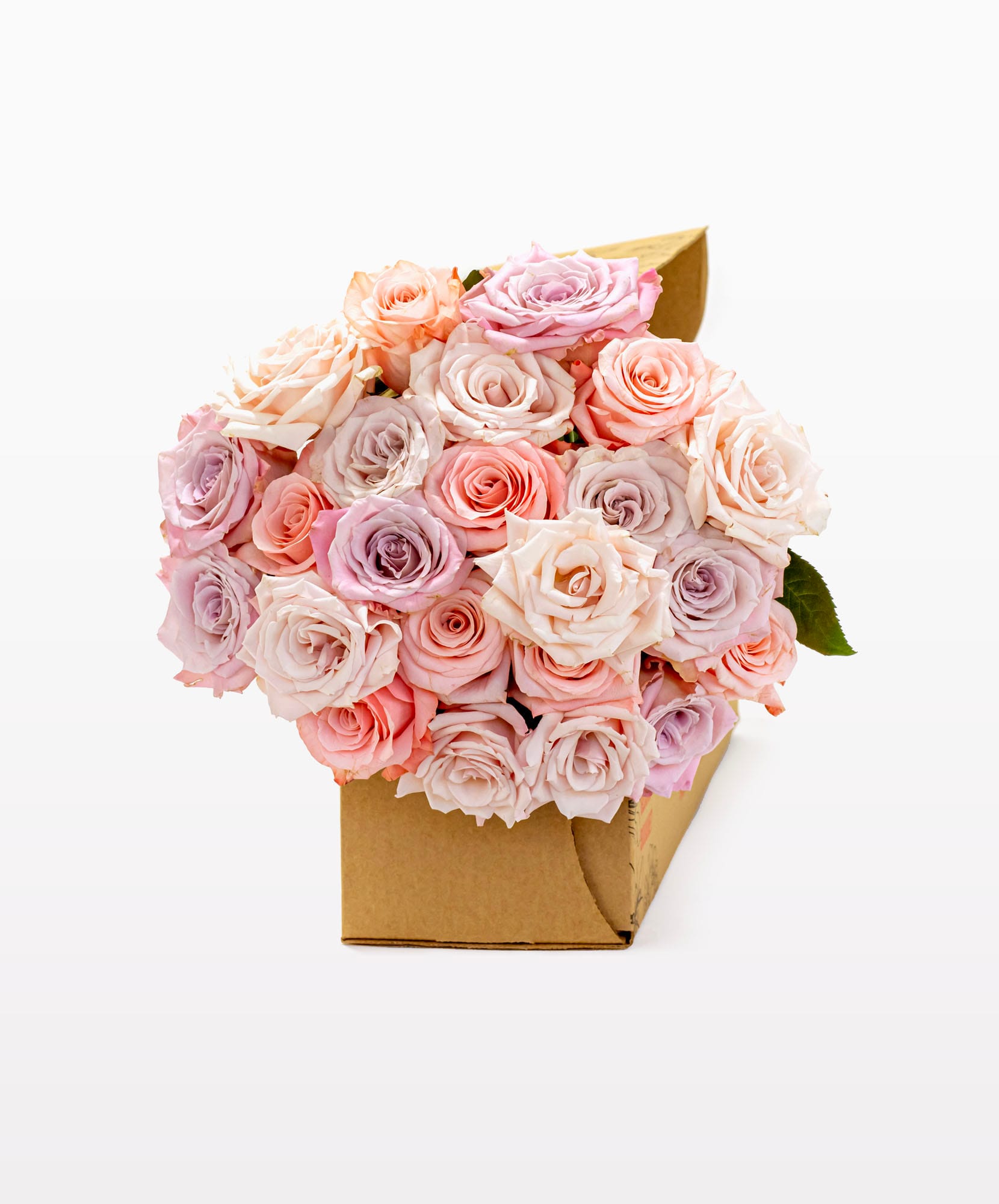 Beautiful assorted roses in soft pink and lavender hues, elegantly packaged in a box.